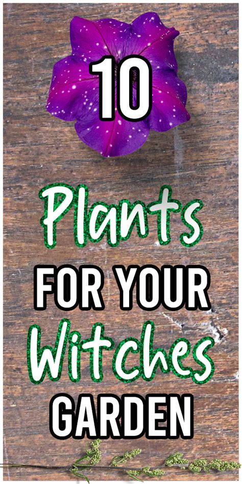 Tools of the Witch: Creating Ritual Objects from Your Witchcraft Garden